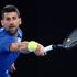 ‘I liked its roots and trunks’: Djokovic explains ‘special relationship’ with Australian tree
